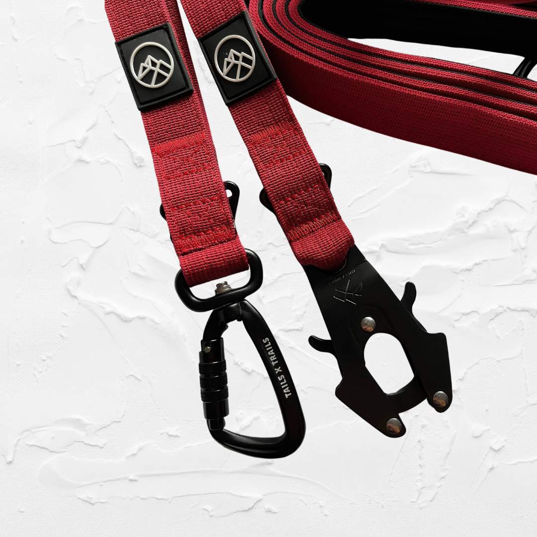 The 3-in-1 Adventure Lead