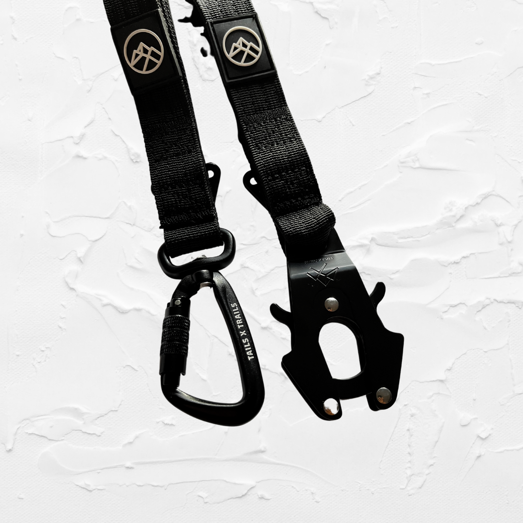 The 3-in-1 Adventure Lead