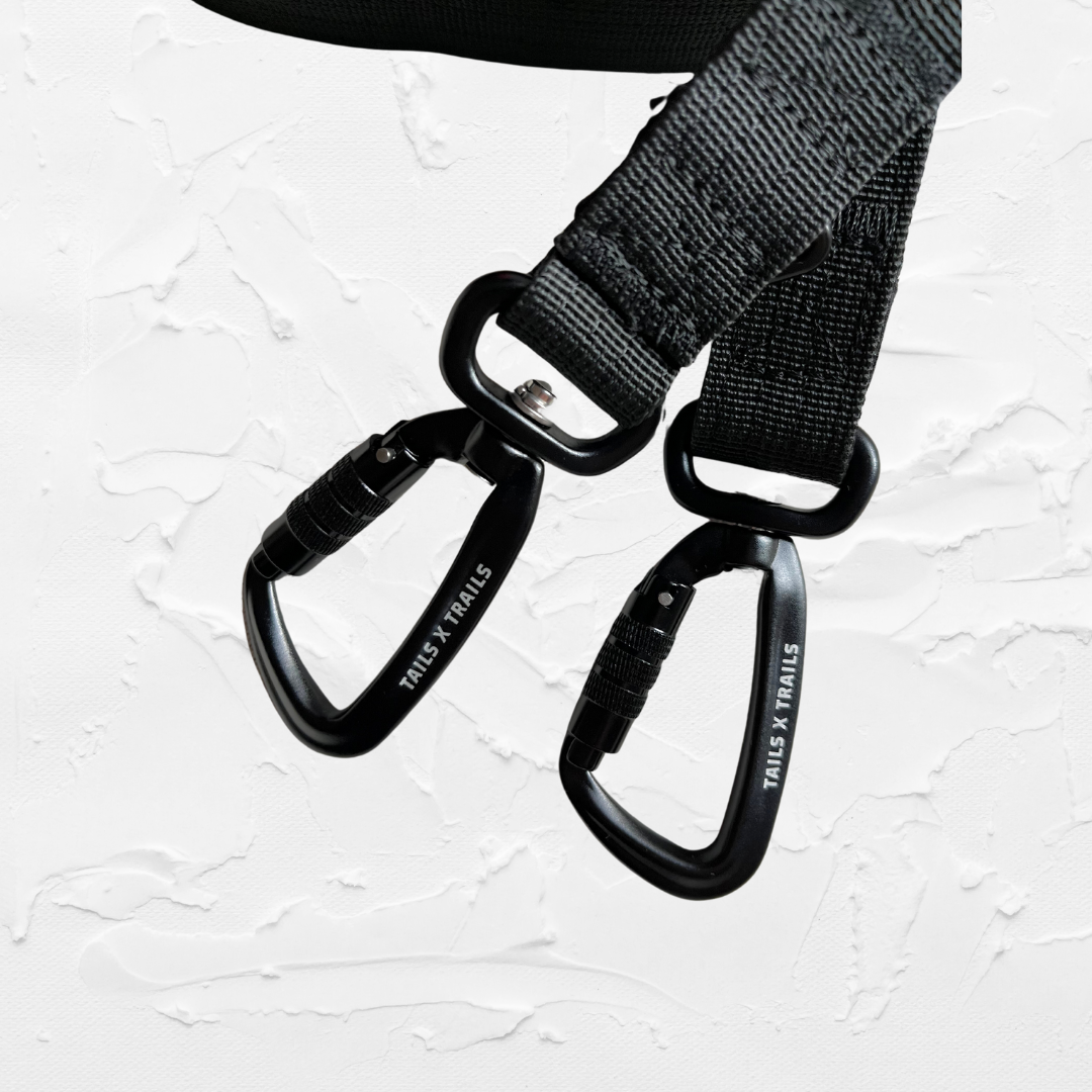 The 3-in-1 Adventure Lead