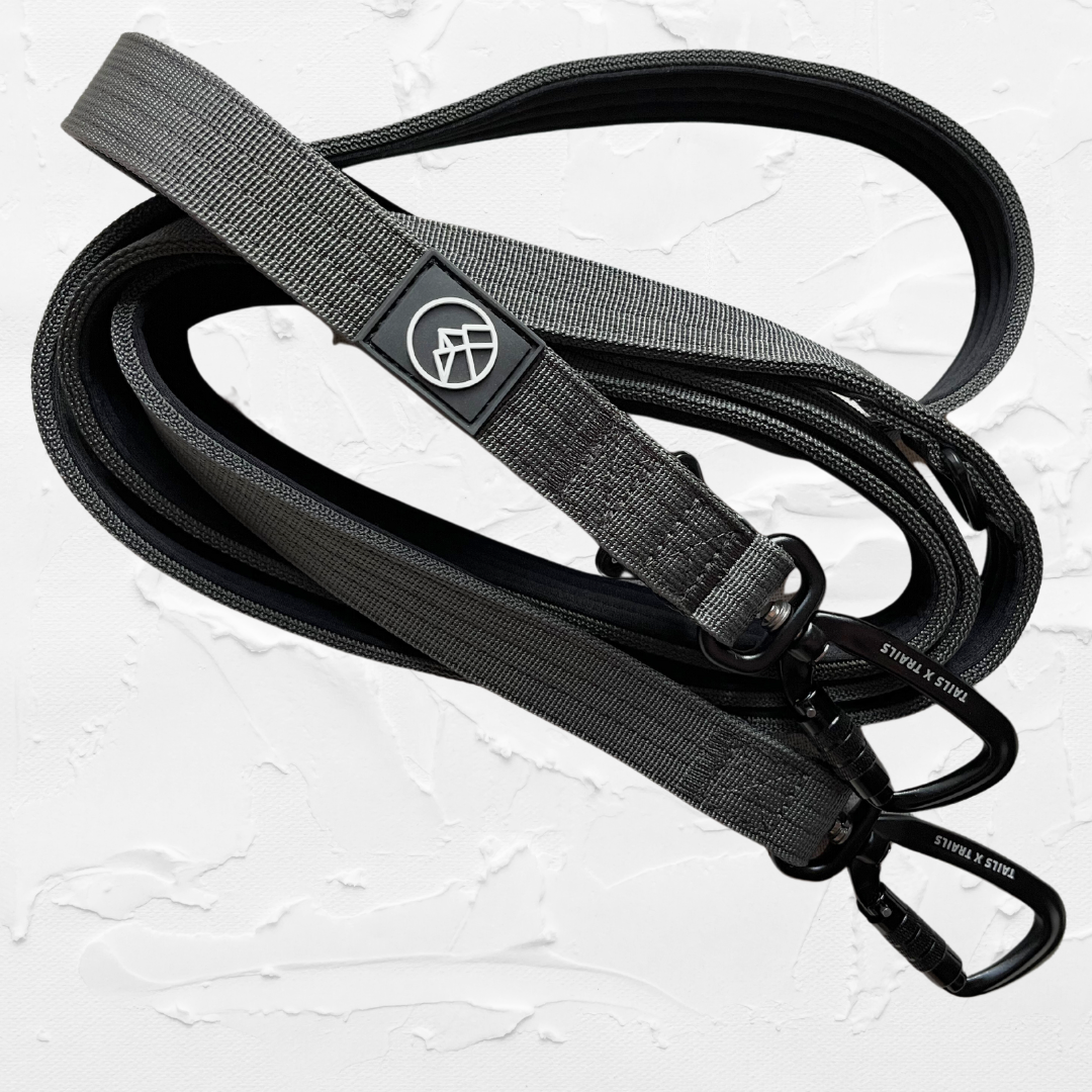 The 3-in-1 Adventure Lead