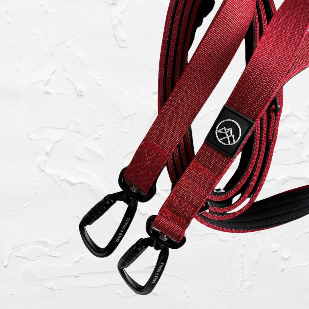 The 3-in-1 Adventure Lead