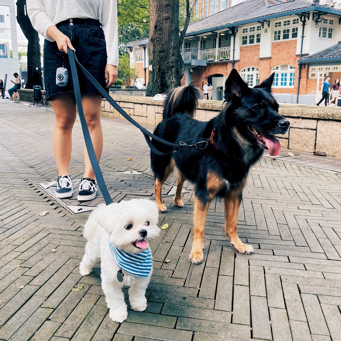 The 3-in-1 Adventure Lead