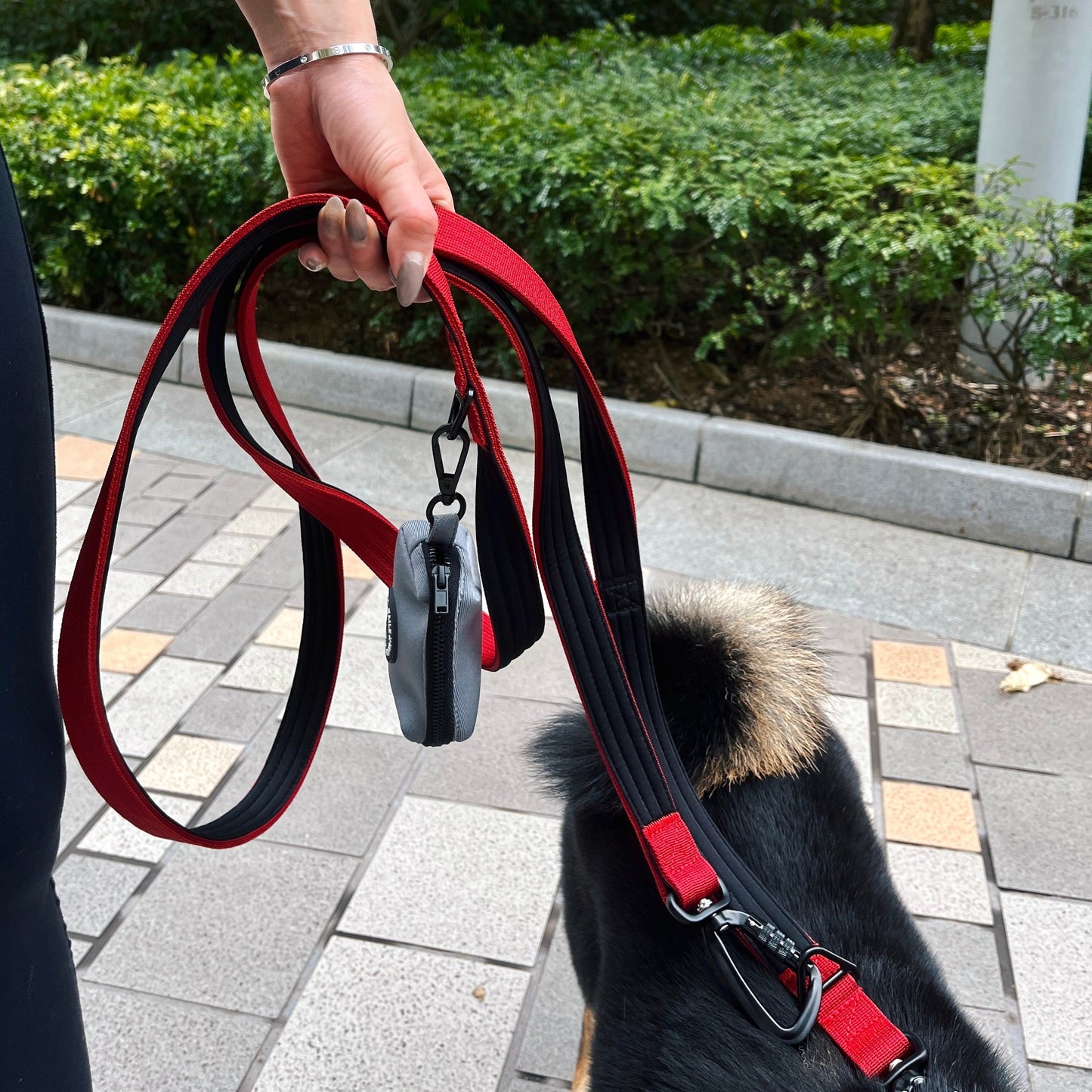 The 3-in-1 Adventure Lead