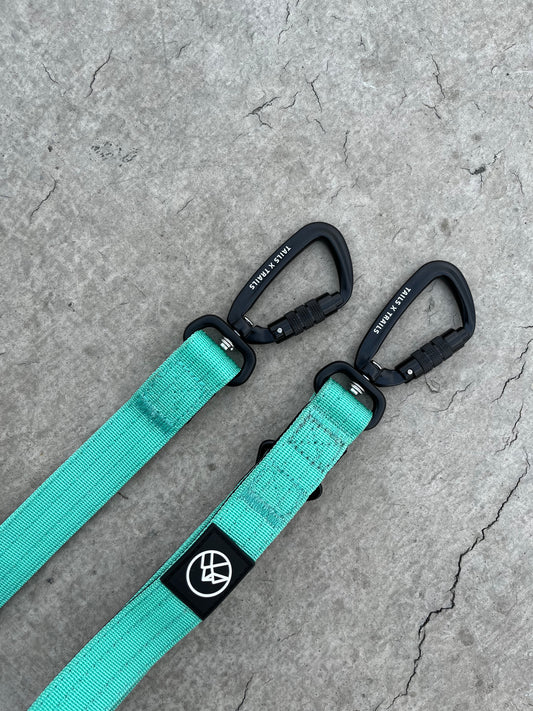 dog leash aqua blue carabiner clip heavy duty