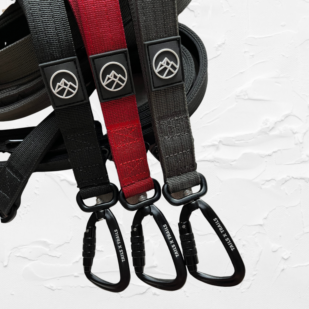 The 3-in-1 Adventure Lead