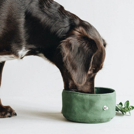 foldable portable dog bowl