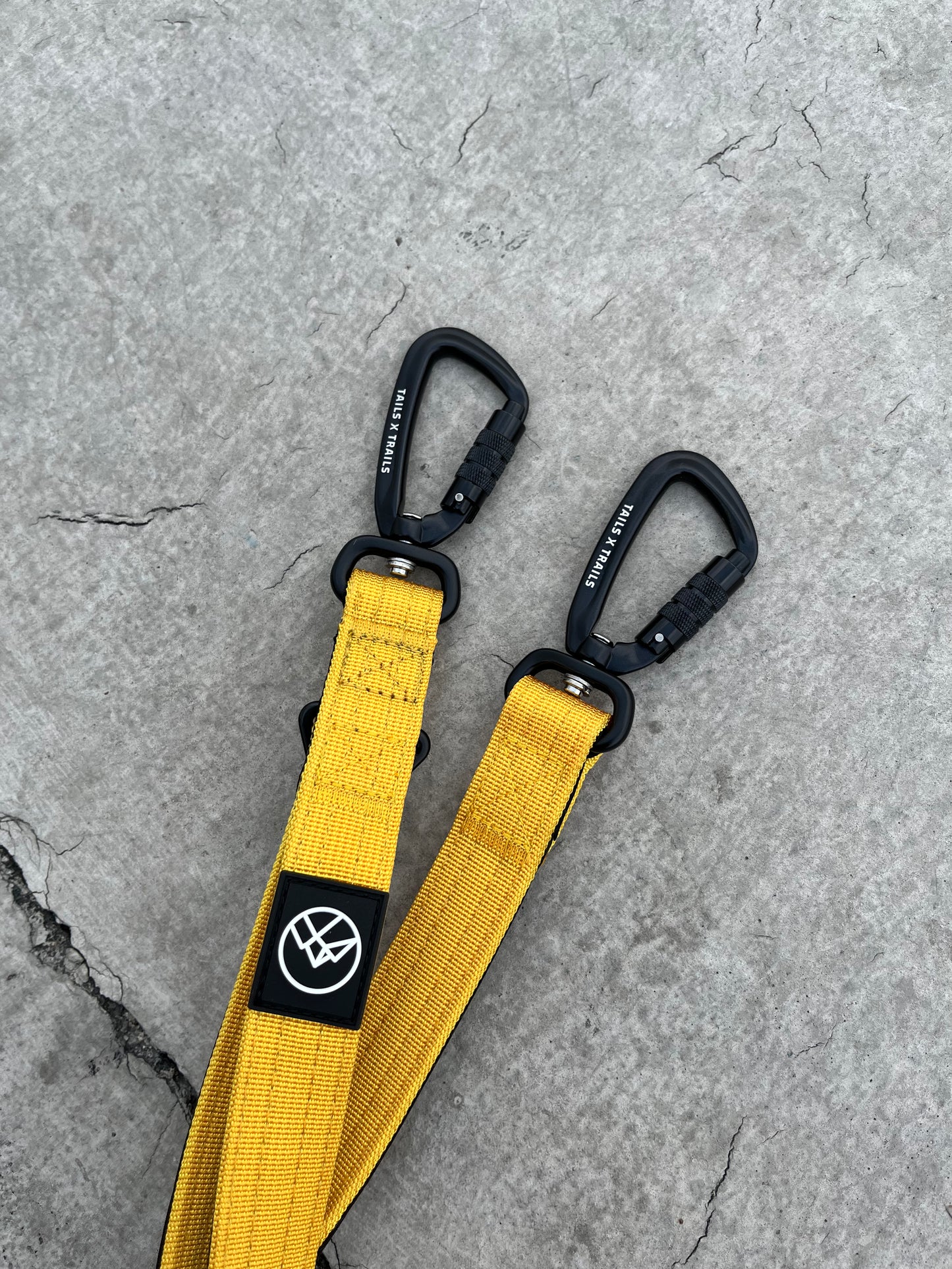 dog leash yellow carabiner clip heavy duty