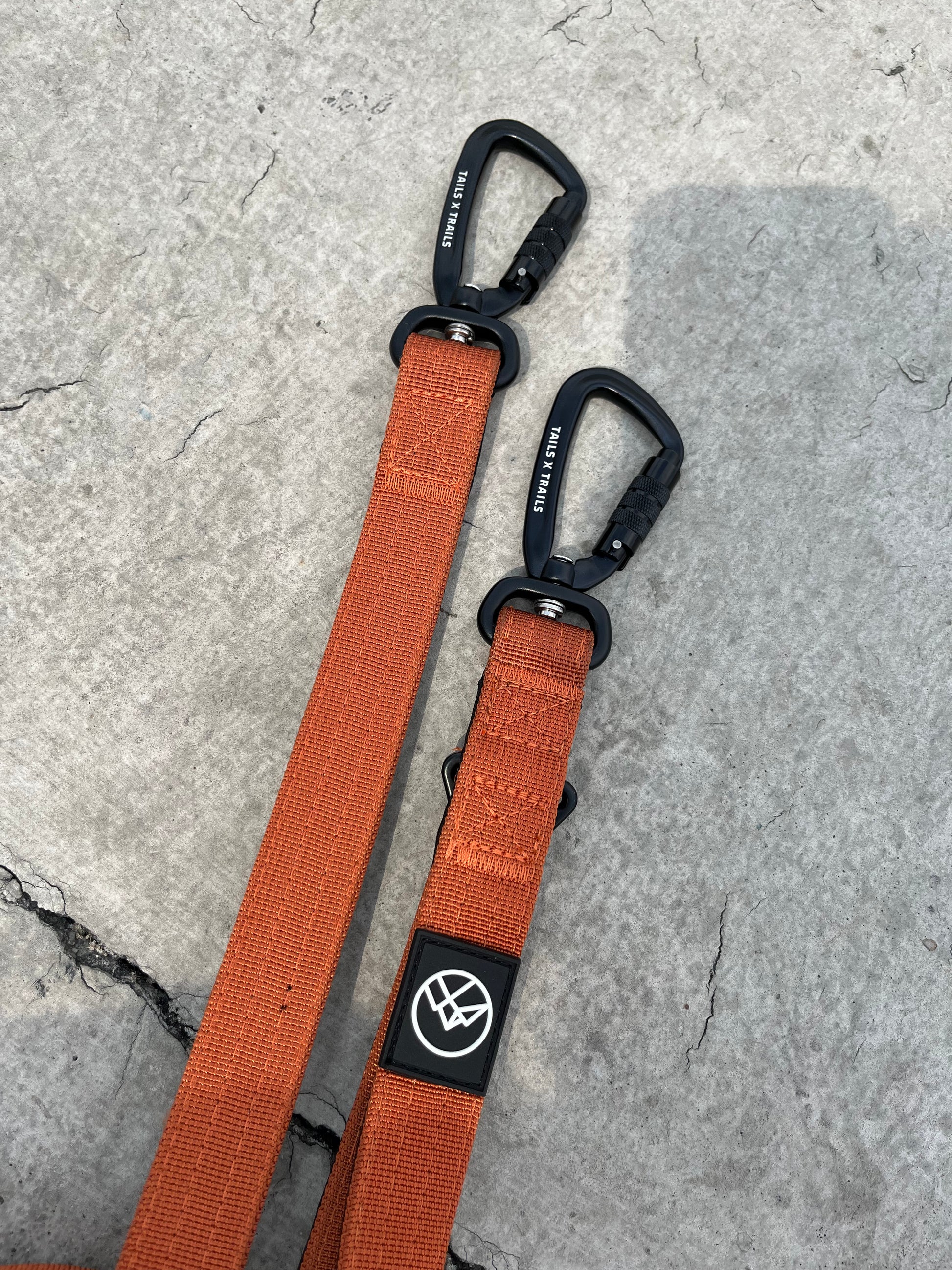 dog leash orange carabiner clip heavy duty